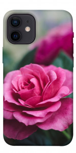 Чохол Троянда у саду для iPhone 12 mini