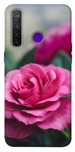 Чехол Роза в саду для Realme 5 Pro