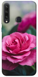 Чехол Роза в саду для Huawei Y6p