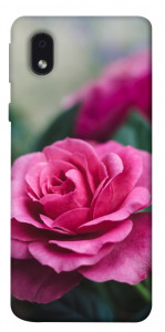 Чехол Роза в саду для Samsung Galaxy M01 Core