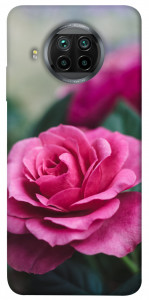Чехол Роза в саду для Xiaomi Redmi Note 9 Pro 5G