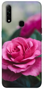 Чехол Роза в саду для Oppo A31