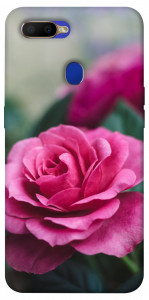 Чехол Роза в саду для Oppo A5s