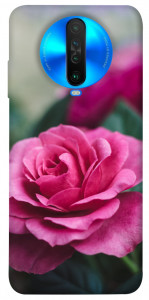 Чохол Троянда у саду для Xiaomi Poco X2
