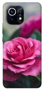 Чехол Роза в саду для Xiaomi Mi 11