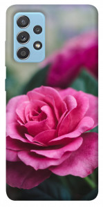 Чохол Троянда у саду для Samsung Galaxy A52 5G