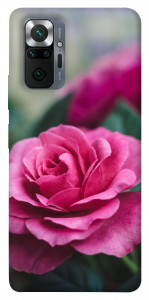 Чехол Роза в саду для Xiaomi Redmi Note 10 Pro