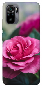Чохол Троянда у саду для Xiaomi Redmi Note 10