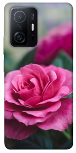 Чохол Троянда у саду для Xiaomi 11T