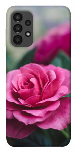 Чехол Роза в саду для Galaxy A13 4G