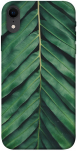Чехол Palm sheet для iPhone XR