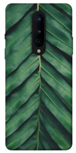 Чехол Palm sheet для OnePlus 8