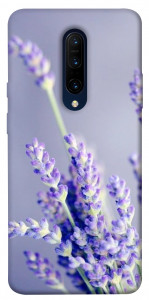 Чохол Лаванда для OnePlus 7 Pro