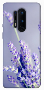 Чехол Лаванда для OnePlus 8 Pro