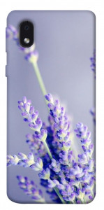 Чехол Лаванда для Samsung Galaxy M01 Core