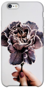 Чехол Гвоздика для iPhone 6s (4.7'')