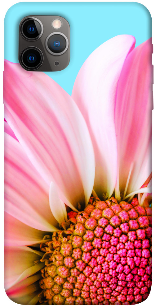 Чехол Цветочные лепестки для iPhone 11 Pro