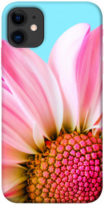 Чехол Цветочные лепестки для iPhone 11
