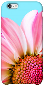 Чехол Цветочные лепестки для iPhone 6 (4.7'')