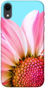 Чехол Цветочные лепестки для iPhone XR