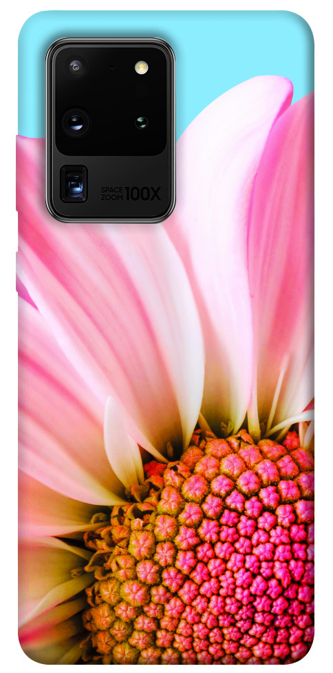 Чехол Цветочные лепестки для Galaxy S20 Ultra (2020)