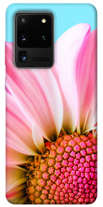 Чехол Цветочные лепестки для Galaxy S20 Ultra (2020)