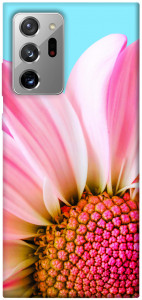 Чехол Цветочные лепестки для Galaxy Note 20 Ultra