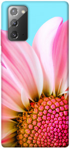 Чехол Цветочные лепестки для Galaxy Note 20