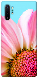 Чохол Квіткові пелюстки для Galaxy Note 10+ (2019)