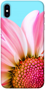 Чехол Цветочные лепестки для iPhone XS (5.8")
