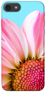 Чехол Цветочные лепестки для  iPhone 8 (4.7")