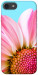 Чехол Цветочные лепестки для iPhone 8