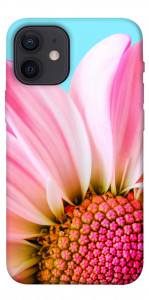 Чохол Квіткові пелюстки для iPhone 12 mini
