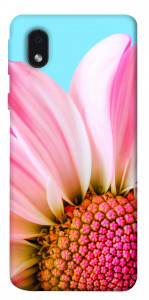 Чехол Цветочные лепестки для Samsung Galaxy M01 Core