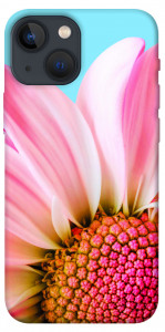 Чехол Цветочные лепестки для iPhone 13 mini