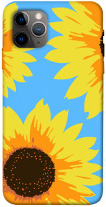 Чехол Sunflower mood для iPhone 11 Pro