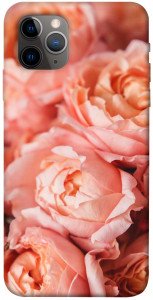 Чехол Нежные розы для iPhone 11 Pro