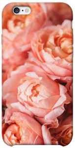 Чехол Нежные розы для iPhone 6 (4.7'')