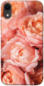 Чехол Нежные розы для iPhone XR