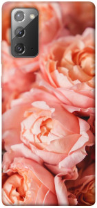Чехол Нежные розы для Galaxy Note 20