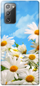 Чехол Ромашковое поле для Galaxy Note 20
