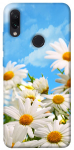 Чехол Ромашковое поле для Xiaomi Redmi Note 7