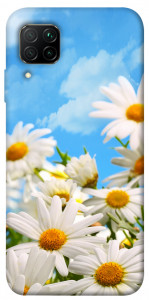 Чохол Ромашкове поле для Huawei P40 Lite