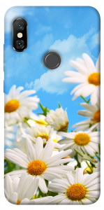 Чехол Ромашковое поле для Xiaomi Redmi Note 6 Pro