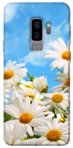 Чехол Ромашковое поле для Galaxy S9+