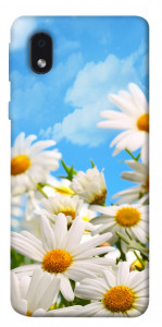 Чехол Ромашковое поле для Samsung Galaxy M01 Core