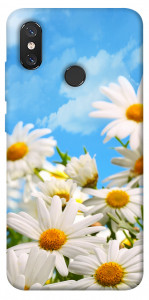 Чехол Ромашковое поле для Xiaomi Mi 8