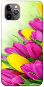 Чехол Красочные тюльпаны для iPhone 11 Pro