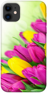 Чехол Красочные тюльпаны для iPhone 11