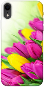 Чехол Красочные тюльпаны для iPhone XR